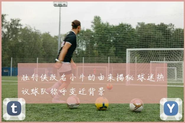 独行侠改名小牛的由来揭秘 球迷热议球队称呼变迁背景