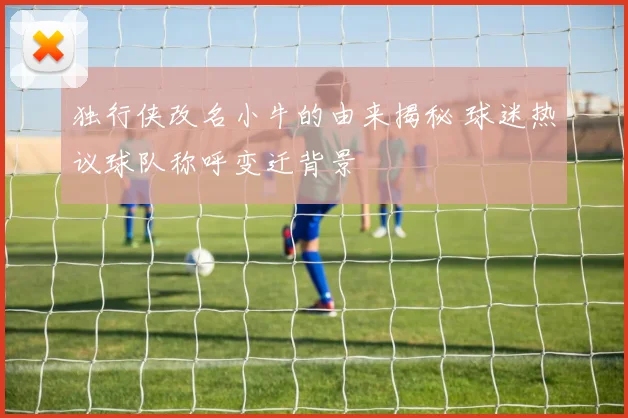 独行侠改名小牛的由来揭秘 球迷热议球队称呼变迁背景